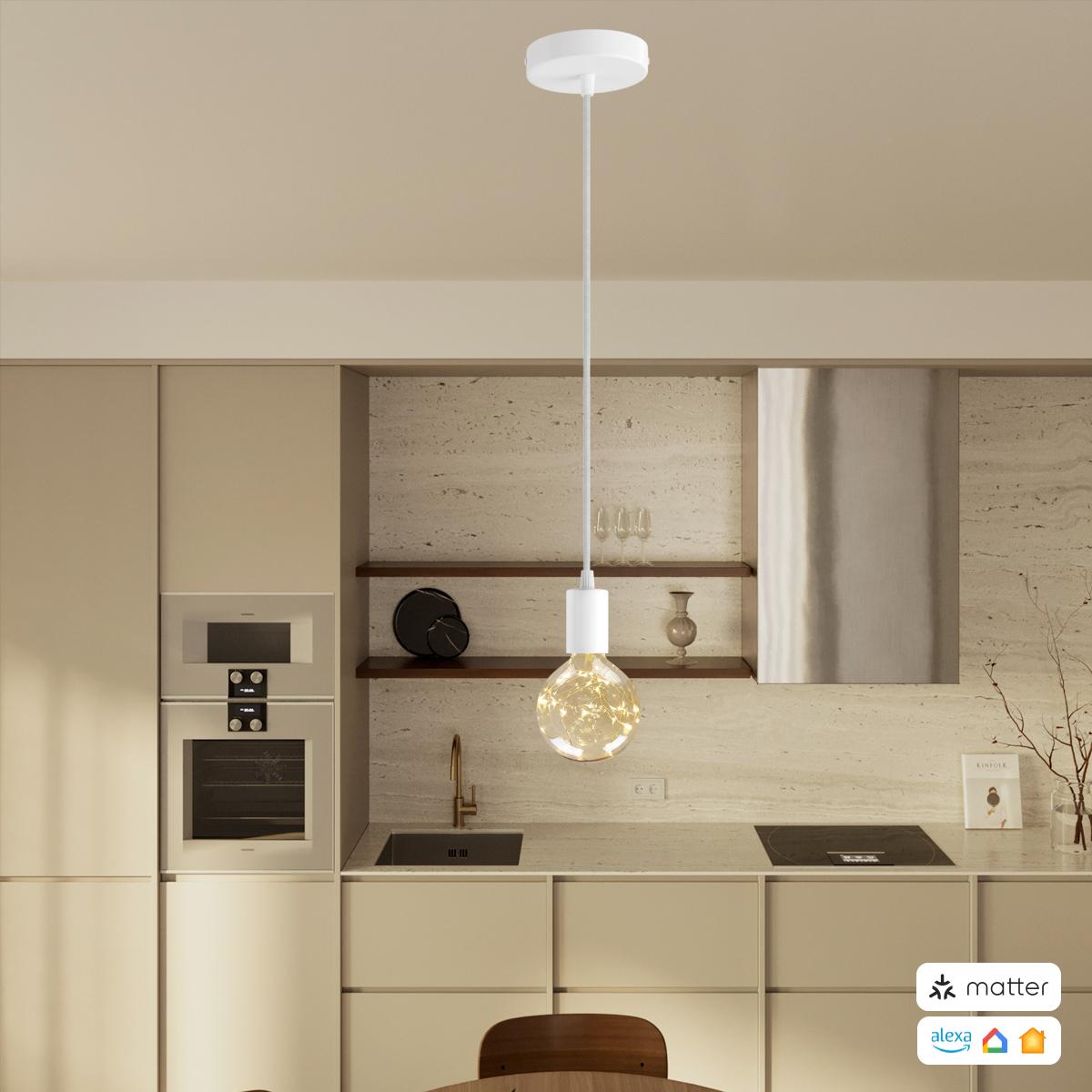 PENDEL CONFIG MATTER 10049