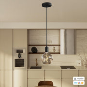 PENDEL CONFIG MATTER 11680