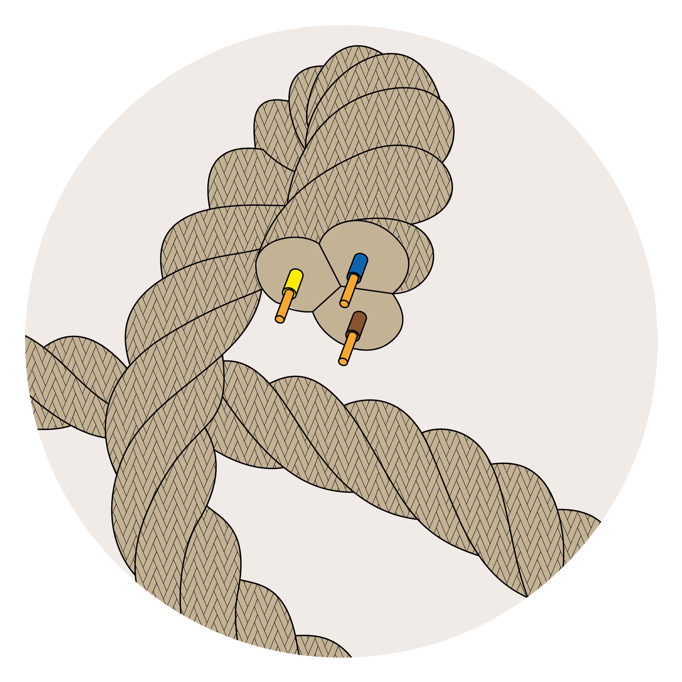 Cords