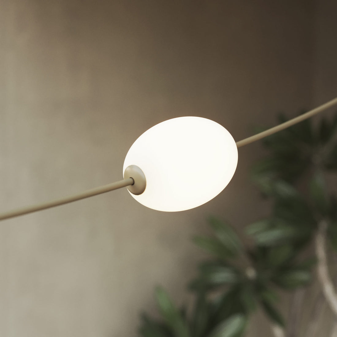 <strong>Diffuse and even light</strong>