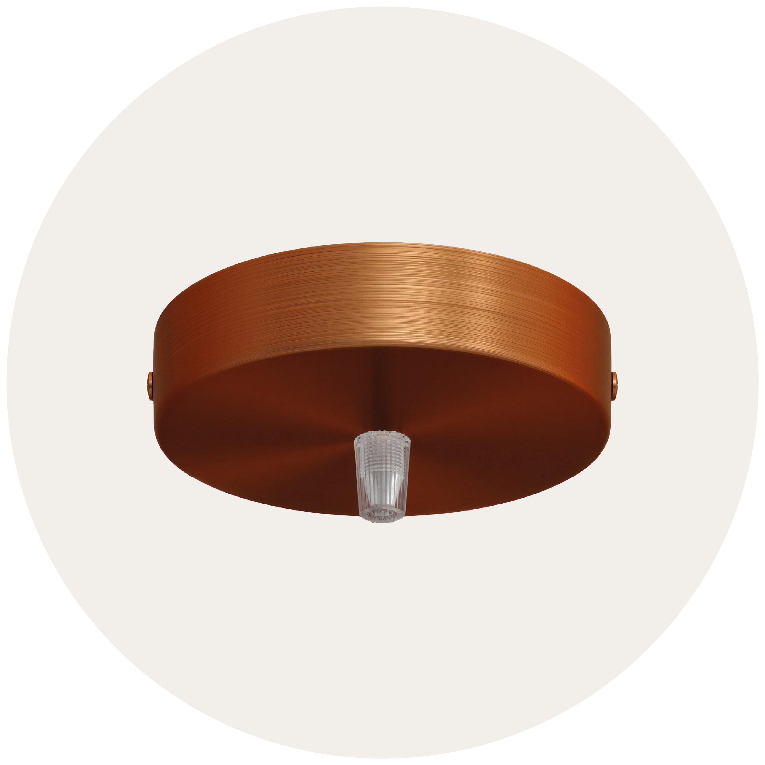 Ceiling roses
