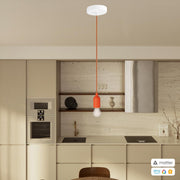 PENDEL CONFIG MATTER 25517