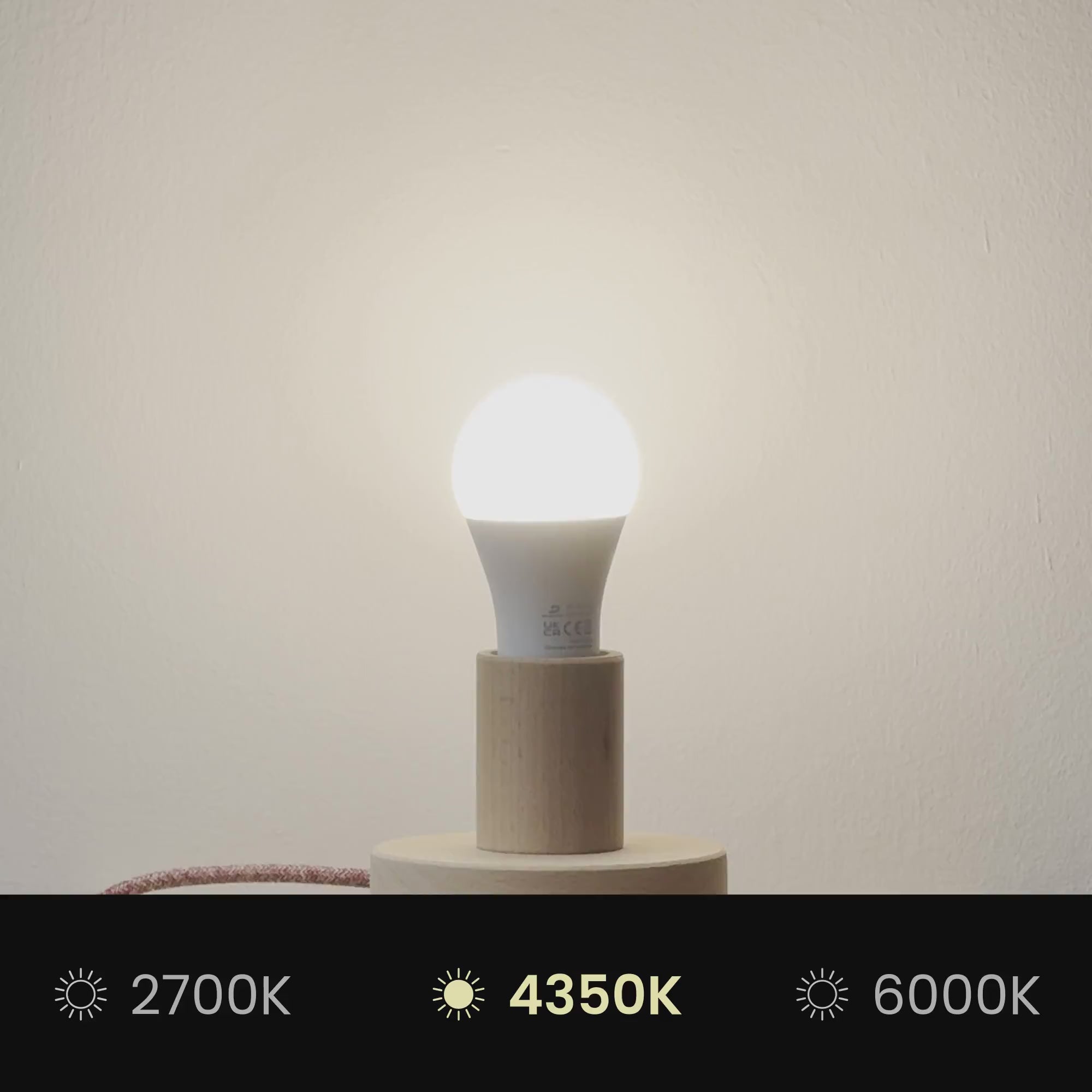 Load video: Athena lampshade with E27 fitting for table lamp – Made in Italy – Lobster wool